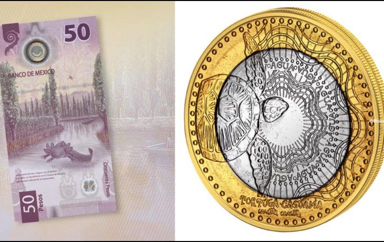 El año pasado el billete de 50 pesos de México comenzó a circular, mientras que la moneda colombiana comenzó a circular en el año 2012. ESPECIAL