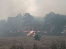 El incendio en el Bosque La Primavera se registra desde esta tarde en el Área Natural Protegida. ESPECIAL