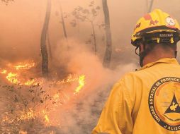 El bosque pierde terreno cada año a causa de los incendios; en algunas ocasiones, son provocados de manera intencional por temas agrícolas o por cambio de uso de suelo. ESPECIAL