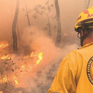 Combaten 300 brigadistas fuego en La Primavera