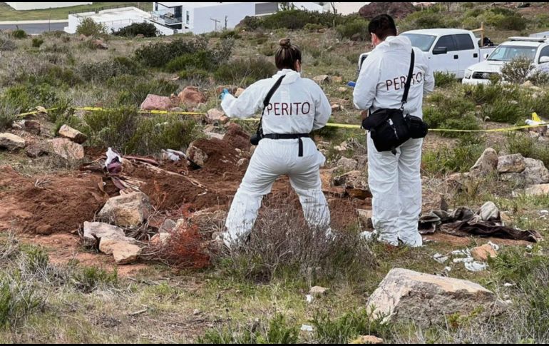 Instituciones de seguridad, académicas y organizaciones civiles realizan a diario labores para encontrar a personas desaparecidas. ESPECIAL