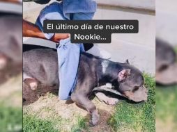 El video se viralizó rápidamente en TikTok y provocó´un sinfín de comentarios. ESPECIAL /