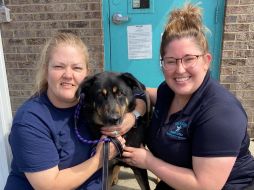 Fezco fue abandonado en un refugio porque montó a otro perro macho, algo que no le gustó a sus dueños. FACEBOOK/@Stanly County Animal Protective Services