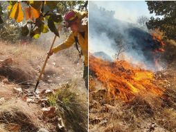 En la liquidación de este incendio trabajan elementos de la propia dependencia y del Bosque La Primavera, con apoyo también de una motobomba de Protección Civil y Bomberos Zapopan. TWITTER / @SemadetJal