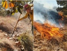 En la liquidación de este incendio trabajan elementos de la propia dependencia y del Bosque La Primavera, con apoyo también de una motobomba de Protección Civil y Bomberos Zapopan. TWITTER / @SemadetJal