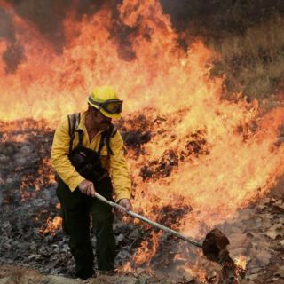 La Primavera: Esta es la pena por causar incendios forestales en Jalisco