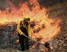 La Secretaria de Medio Ambiente y Desarrollo Territorial (Semadet) anunció hoy sobre un nuevo incendio en el Bosque de La Primavera. ESPECIAL