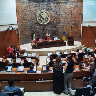 Nuevo impuesto verde no está en agenda legislativa, afirma diputada de MC