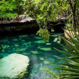 Semana Santa 2022: Cenotes, el destino ideal para tus vacaciones