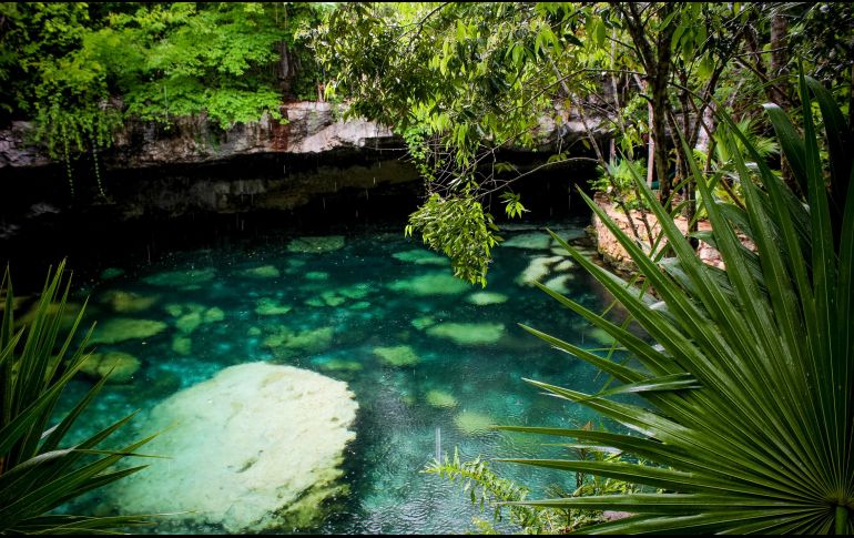 Los cenotes son grandes atracciones turísticas de nuestros país y un destino concurrido en vacaciones. NTX/ARCHIVO