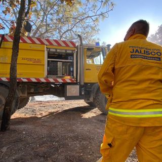 Bosque La Primavera: Reportan nuevo incendio en la zona Bajío Las Milpillas