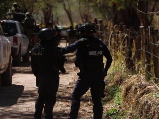 Michoacán: Asesinan a 19 personas en un palenque de gallos clandestino en  Zinapécuaro | El Informador