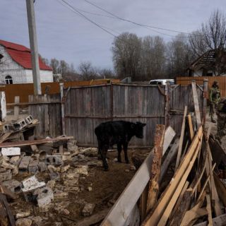 Rusia prepara restricciones de visado para "países inamistosos"