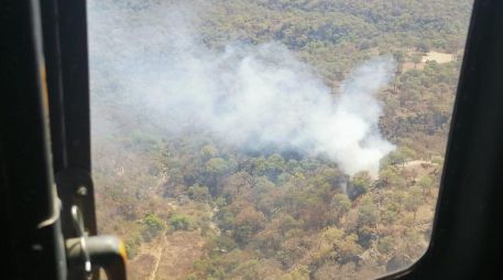 El incendio de esta tarde en La Primavera se dio en el paraje conocido como La Tecomata y es una Área Natural Protegida. ESPECIAL