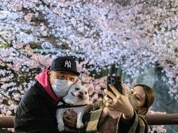 En el Parque Chidorigafuchi, miles de personas contemplaban los pétalos color rosa pálido mientras paseaban bajo las filas de árboles o desde botes de remos. AFP/P. Fong