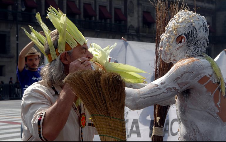 Organizaciones ambientalistas protestan contra los cultivos de maíz transgénicos en el Zócalo capitalino durante el Día Nacional del Maíz. NTX/ARCHIVO