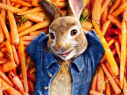 Las travesuras de Peter Rabbit se estrenó en cines en 2019; ahora, Netflix se adueña del cómico personaje. CORTESÍA / NETFLIX