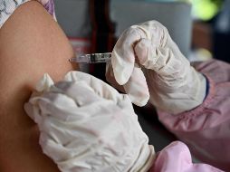 El director general de la OMS, Tedros Adhanom Ghebreyesus denuncia que un tercio de la población mundial sigue sin recibir una sola dosis, lo que incluye al 83% de la población de África. AFP / ARCHIVO