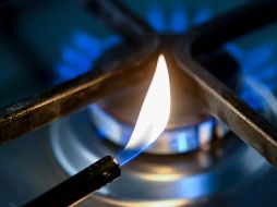 El representante del gobierno, Steffen Hebestreit, informó en un comunicado de que Scholz y Putin hablaron por teléfono por iniciativa de este último para tratar la cuestión de los pagos a partir del 1 de abril. AFP / I. Fassbender