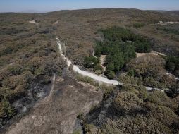 Sólo en 7.25 hectáreas hubo severidad alta en afectaciones, detallan. ESPECIAL/Semadet