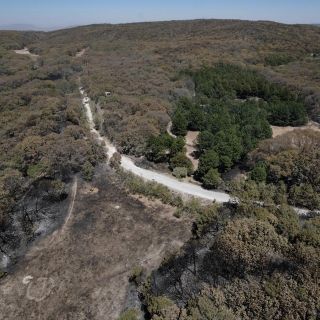 La Primavera: Incendio en Bajío de Milpillas afectó 226 hectáreas, dice la Semadet