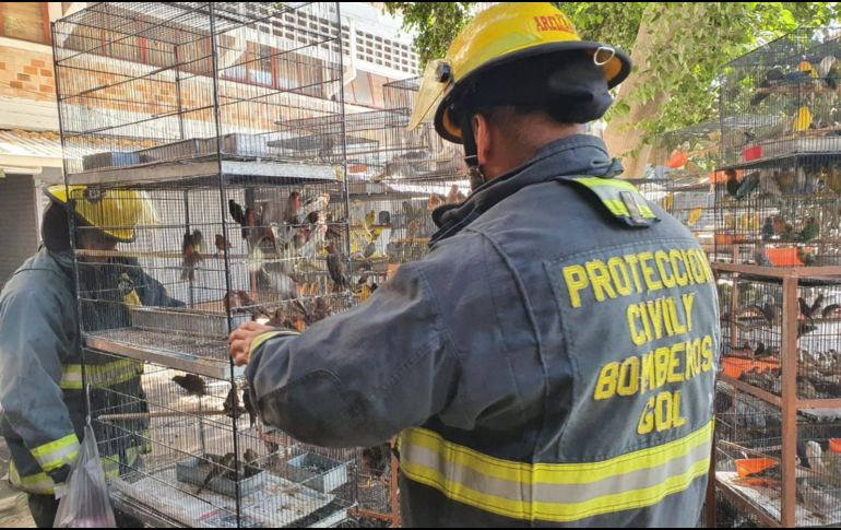 Imagen de las afectaciones en el Mercado San Juan de Dios tras el incendio. EL INFORMADOR / A. Navarro