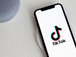 El gato tiene más de 600 mil seguidores en la popular red de TikTok