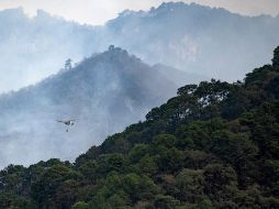 Poco más de 350 elementos de diversas corporaciones, así como nueve helicópteros y 37 vehículos, participan en el combate del incendio forestal. EFE/M. Sierra