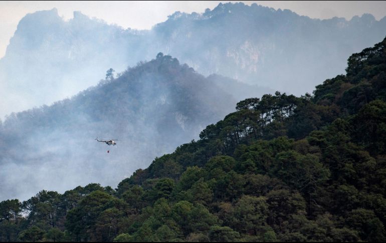 Poco más de 350 elementos de diversas corporaciones, así como nueve helicópteros y 37 vehículos, participan en el combate del incendio forestal. EFE/M. Sierra