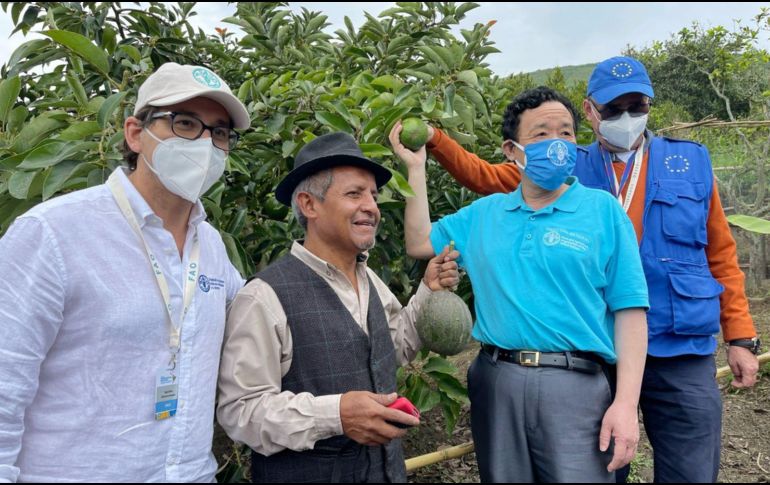 El director general de la FAO, Qu Dongyu, visitó distintos campos de producción agrícola de Ecuador. ESPECIAL