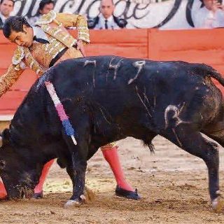 Corrida sin triunfadores en la Nuevo Progreso