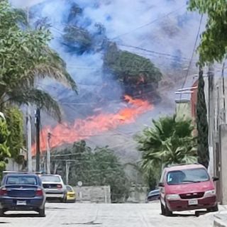 Bosque La Primavera: Se incendia el paraje El Colli; atienden dos más en Zapopan y uno en Tala