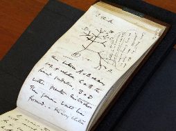 La policía investiga quién está detrás del presunto robo y la devolución de las pequeñas libretas -una de las cuales contiene un boceto del famoso 