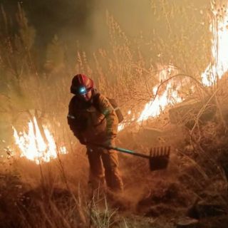 La Primavera: Se reactiva incendio en El Colli a pocas horas de controlarlo