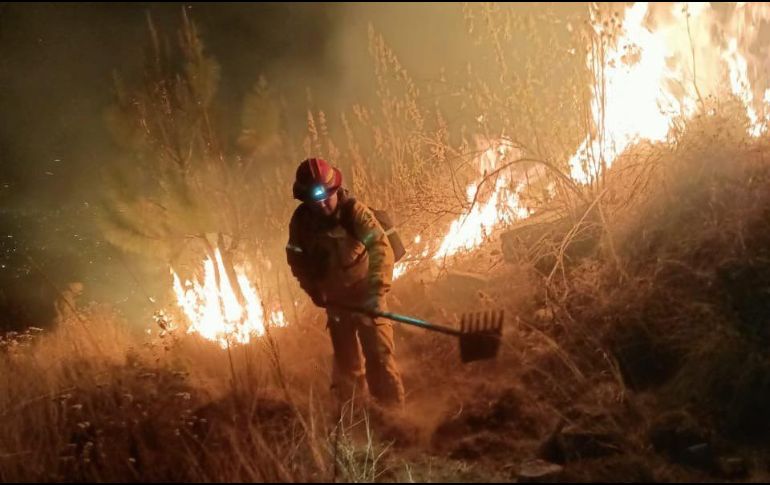 Cuatro brigadas de Protección Civil de Zapopan, así como brigadas del OPD Bosque La Primavera y Semadet trabajan en la extinción del incendio. TWITTER / @SemadetJal