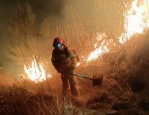 Cuatro brigadas de Protección Civil de Zapopan, así como brigadas del OPD Bosque La Primavera y Semadet trabajan en la extinción del incendio. TWITTER / @SemadetJal