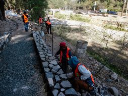 Ampliarán Parque Lineal de avenida Patria