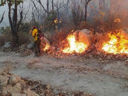Hasta el momento se desconocen las causas del fuego y el tamaño de la superficie afectada. TWITTER/SemadetJal