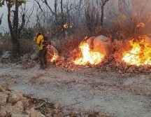 Hasta el momento se desconocen las causas del fuego y el tamaño de la superficie afectada. TWITTER/SemadetJal