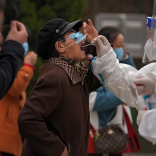 La OMS reporta baja en contagios y muertes por COVID-19