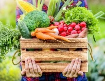 El incremento en la demanda de alimentos y la necesidad de cubrirla, así como la crisis ambiental son parte de los factores. ESPECIAL