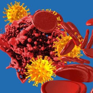 Coronavirus y coágulos: el estudio que halló que padecer covid está asociado a un mayor riesgo de desarrollar trombosis y embolia