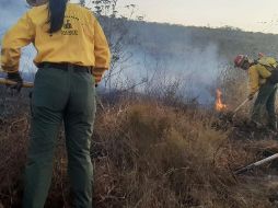 En el lugar ya trabaja la brigada 249 y personal de la Comisión Nacional Forestal. TWITTER / @SemadetJal