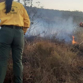 Incendio en Jalisco: Cerro Tepopote en Zapopan se incendia, otra vez