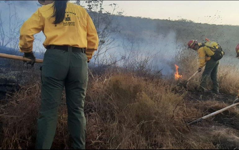 En el lugar ya trabaja la brigada 249 y personal de la Comisión Nacional Forestal. TWITTER / @SemadetJal