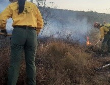 En el lugar ya trabaja la brigada 249 y personal de la Comisión Nacional Forestal. TWITTER / @SemadetJal