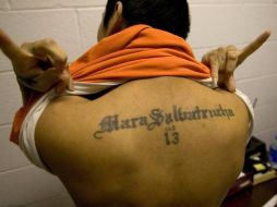 La Mara Salvatrucha es una organización internacional de pandillas que se caracteriza por su extrema violencia y crueldad. EL INFORMADOR