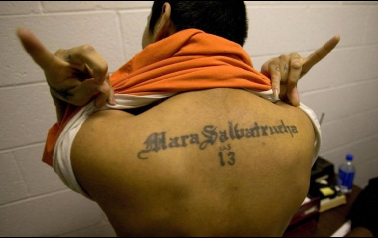 La Mara Salvatrucha es una organización internacional de pandillas que se caracteriza por su extrema violencia y crueldad. EL INFORMADOR