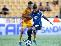 El partido Querétaro vs Tigres podrá ser visto en televisión restringida. IMAGO7