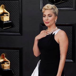 Ladrón de perros de Lady Gaga sale libre ¡por error!